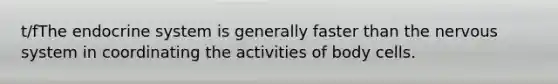 t/fThe endocrine system is generally faster than the nervous system in coordinating the activities of body cells.