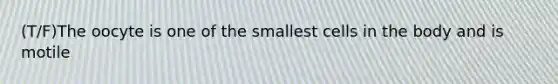 (T/F)The oocyte is one of the smallest cells in the body and is motile