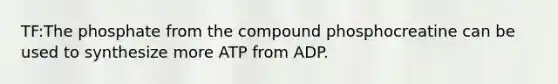 TF:The phosphate from the compound phosphocreatine can be used to synthesize more ATP from ADP.