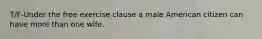 T/F-Under the free exercise clause a male American citizen can have more than one wife.