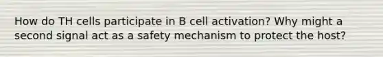 How do TH cells participate in B cell activation? Why might a second signal act as a safety mechanism to protect the host?