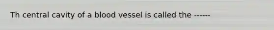 Th central cavity of a blood vessel is called the ------