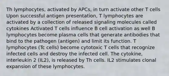 Th lymphocytes, activated by APCs, in turn activate other T cells Upon successful antigen presentation, T lymphocytes are activated by a collection of released signaling molecules called cytokines Activated T cells influence B cell activation as well B lymphocytes become plasma cells that generate antibodies that bind to the pathogen (antigen) and limit its function. T lymphocytes (Tc cells) become cytotoxic T cells that recognize infected cells and destroy the infected cell. The cytokine, interleukin 2 (IL2), is released by Th cells. IL2 stimulates clonal expansion of these lymphocytes.