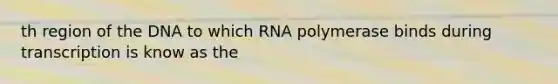 th region of the DNA to which RNA polymerase binds during transcription is know as the