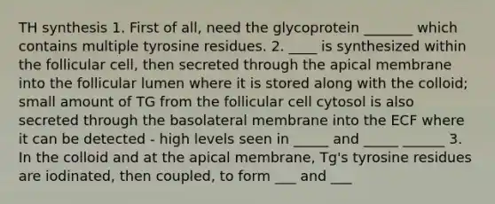 TH synthesis 1. First of all, need the glycoprotein _______ which contains multiple tyrosine residues. 2. ____ is synthesized within the follicular cell, then secreted through the apical membrane into the follicular lumen where it is stored along with the colloid; small amount of TG from the follicular cell cytosol is also secreted through the basolateral membrane into the ECF where it can be detected - high levels seen in _____ and _____ ______ 3. In the colloid and at the apical membrane, Tg's tyrosine residues are iodinated, then coupled, to form ___ and ___