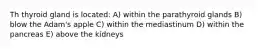 Th thyroid gland is located: A) within the parathyroid glands B) blow the Adam's apple C) within the mediastinum D) within the pancreas E) above the kidneys