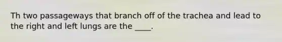 Th two passageways that branch off of the trachea and lead to the right and left lungs are the ____.