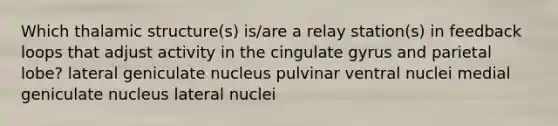 Which thalamic structure(s) is/are a relay station(s) in feedback loops that adjust activity in the cingulate gyrus and parietal lobe? lateral geniculate nucleus pulvinar ventral nuclei medial geniculate nucleus lateral nuclei