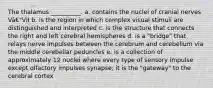 The thalamus __________. a. contains the nuclei of cranial nerves Vâ€"VII b. is the region in which complex visual stimuli are distinguished and interpreted c. is the structure that connects the right and left cerebral hemispheres d. is a "bridge" that relays nerve impulses between the cerebrum and cerebellum via the middle cerebellar peduncles e. is a collection of approximately 12 nuclei where every type of sensory impulse except olfactory impulses synapse; it is the "gateway" to the cerebral cortex