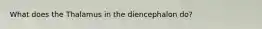 What does the Thalamus in the diencephalon do?