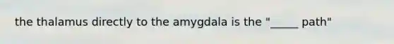 the thalamus directly to the amygdala is the "_____ path"