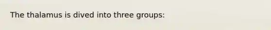 The thalamus is dived into three groups: