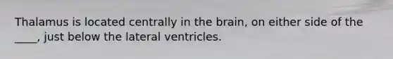 Thalamus is located centrally in the brain, on either side of the ____, just below the lateral ventricles.