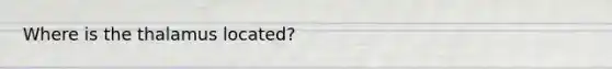 Where is the thalamus located?