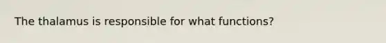 The thalamus is responsible for what functions?