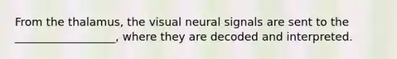 From the thalamus, the visual neural signals are sent to the __________________, where they are decoded and interpreted.