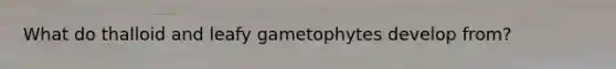 What do thalloid and leafy gametophytes develop from?