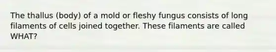 The thallus (body) of a mold or fleshy fungus consists of long filaments of cells joined together. These filaments are called WHAT?