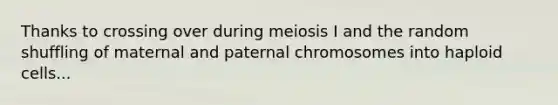 Thanks to crossing over during meiosis I and the random shuffling of maternal and paternal chromosomes into haploid cells...