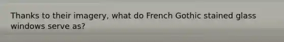 Thanks to their imagery, what do French Gothic stained glass windows serve as?