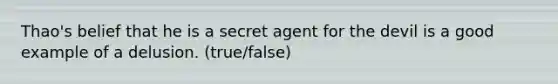 Thao's belief that he is a secret agent for the devil is a good example of a delusion. (true/false)