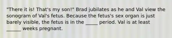 "There it is! That's my son!" Brad jubilates as he and Val view the sonogram of Val's fetus. Because the fetus's sex organ is just barely visible, the fetus is in the _____ period. Val is at least ______ weeks pregnant.