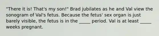 "There it is! That's my son!" Brad jubilates as he and Val view the sonogram of Val's fetus. Because the fetus' sex organ is just barely visible, the fetus is in the _____ period. Val is at least _____ weeks pregnant.