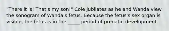 "There it is! That's my son!" Cole jubilates as he and Wanda view the sonogram of Wanda's fetus. Because the fetus's sex organ is visible, the fetus is in the _____ period of prenatal development.