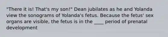 "There it is! That's my son!" Dean jubilates as he and Yolanda view the sonograms of Yolanda's fetus. Because the fetus' sex organs are visible, the fetus is in the ____ period of prenatal development