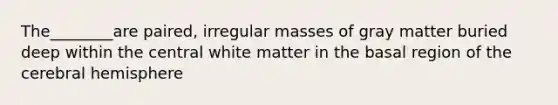 The________are paired, irregular masses of gray matter buried deep within the central white matter in the basal region of the cerebral hemisphere