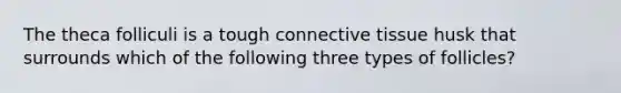 The theca folliculi is a tough connective tissue husk that surrounds which of the following three types of follicles?