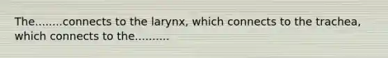 The........connects to the larynx, which connects to the trachea, which connects to the..........