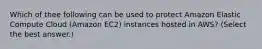 Which of thee following can be used to protect Amazon Elastic Compute Cloud (Amazon EC2) instances hosted in AWS? (Select the best answer.)