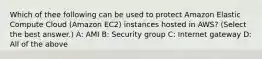 Which of thee following can be used to protect Amazon Elastic Compute Cloud (Amazon EC2) instances hosted in AWS? (Select the best answer.) A: AMI B: Security group C: Internet gateway D: All of the above