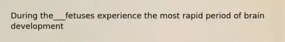 During the___fetuses experience the most rapid period of brain development