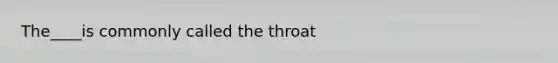 The____is commonly called the throat