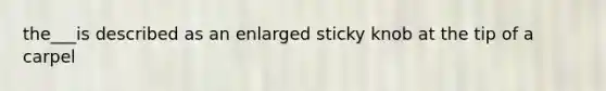 the___is described as an enlarged sticky knob at the tip of a carpel