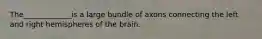 The_____________is a large bundle of axons connecting the left and right hemispheres of the brain.