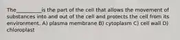 The__________is the part of the cell that allows the movement of substances into and out of the cell and protects the cell from its environment. A) plasma membrane B) cytoplasm C) cell wall D) chloroplast