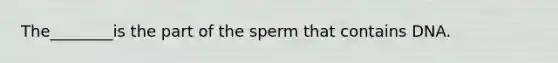 The________is the part of the sperm that contains DNA.