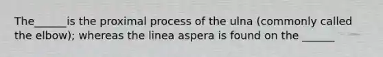 The______is the proximal process of the ulna (commonly called the elbow); whereas the linea aspera is found on the ______