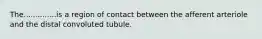 The..............is a region of contact between the afferent arteriole and the distal convoluted tubule.