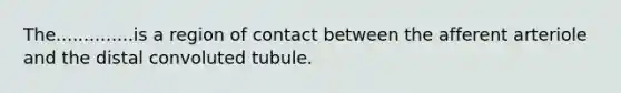 The..............is a region of contact between the afferent arteriole and the distal convoluted tubule.