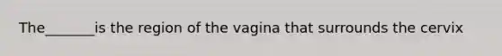 The_______is the region of the vagina that surrounds the cervix