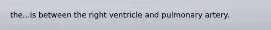 the...is between the right ventricle and pulmonary artery.