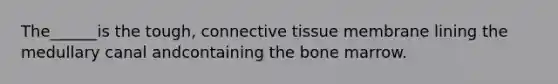 The______is the tough, connective tissue membrane lining the medullary canal andcontaining the bone marrow.