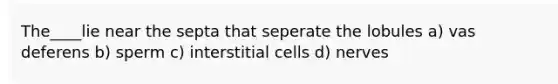 The____lie near the septa that seperate the lobules a) vas deferens b) sperm c) interstitial cells d) nerves