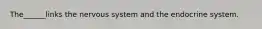 The______links the nervous system and the endocrine system.