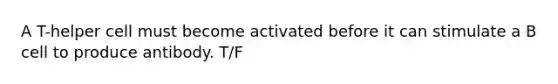 A T-helper cell must become activated before it can stimulate a B cell to produce antibody. T/F