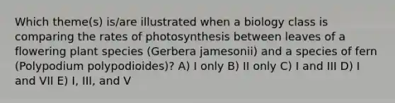 Which theme(s) is/are illustrated when a biology class is comparing the rates of photosynthesis between leaves of a flowering plant species (Gerbera jamesonii) and a species of fern (Polypodium polypodioides)? A) I only B) II only C) I and III D) I and VII E) I, III, and V